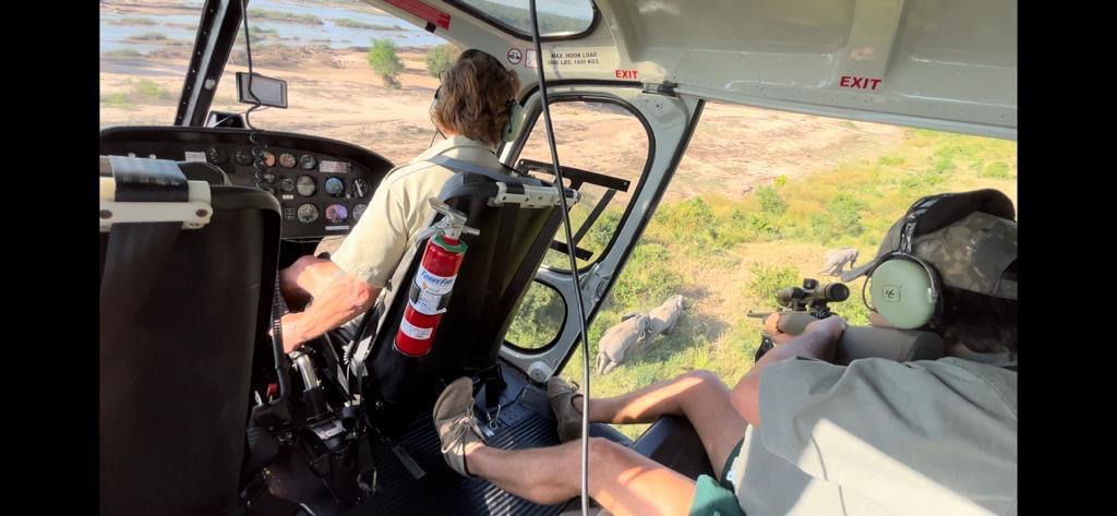 Game Work / Conservation